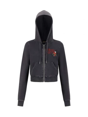 Obrázek produktu Ed Hardy Mikina 'Flaming Tiger' žlutá / pastelově žlutá / rubínově červená / černá