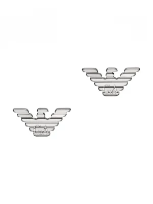 Obrázek produktu Emporio Armani náušnice pánské z nerezové oceli Eagle Logo stříbrná