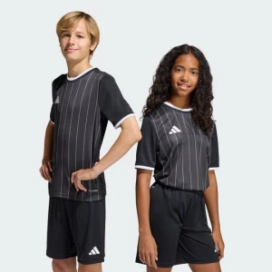 Obrázek produktu Entrada26 Graphic Jersey Kids Adidas