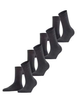 Obrázek produktu ESPRIT Ponožky 'Solid 4-Pack' antracitová