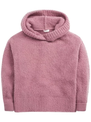 Obrázek produktu Fleecová mikina Next růžová