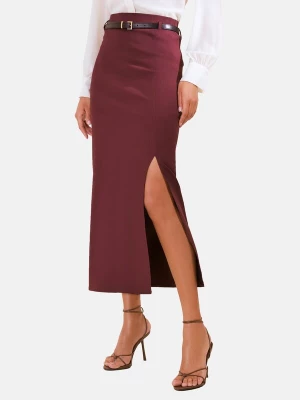 Obrázek produktu Friends Like These Sukně burgundská červeň