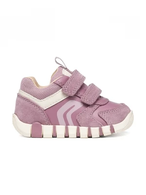 Obrázek produktu Geox IUPIDOO sneakers boty dětské fialová
