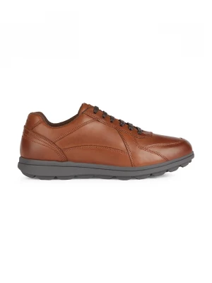 Obrázek produktu Geox U SPHERICA EC12 sneakers boty pánské kožené hnědá