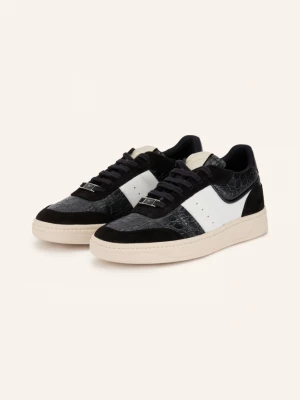 Obrázek produktu Giuseppe Zanotti Design Sneakersy černá / bílá