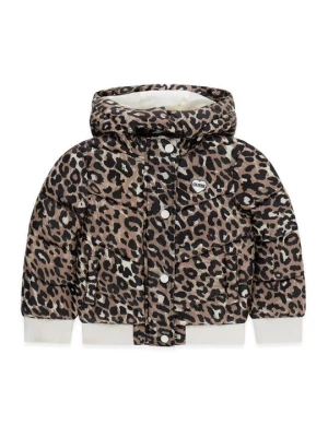 Obrázek produktu Guess Zimní bunda K6YL04 W2597 Černá Regular Fit