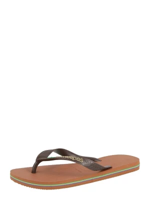 Obrázek produktu HAVAIANAS Žabky starobéžová / hnědá