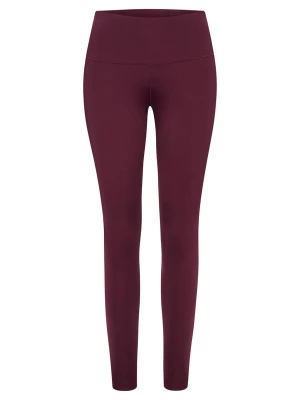 Obrázek produktu Hey Honey Legíny 'Leggings Always Dressed' červenofialová