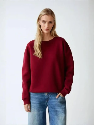Obrázek produktu Hiccup Mikina 'Sweatshirts' burgundská červeň