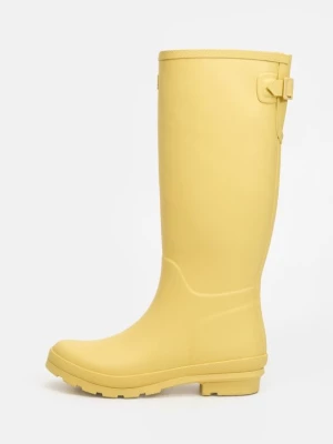 Obrázek produktu Holínky Hunter žlutá