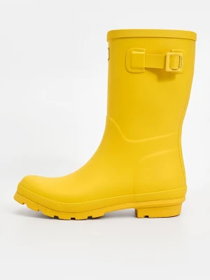 Obrázek produktu Holínky Hunter žlutá