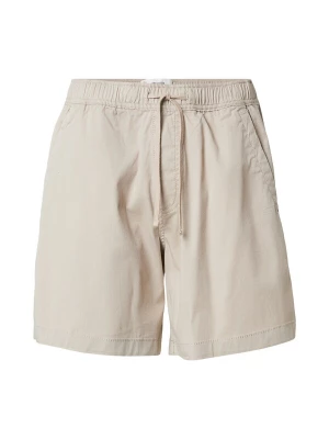 Obrázek produktu HOLLISTER Kalhoty cappuccino