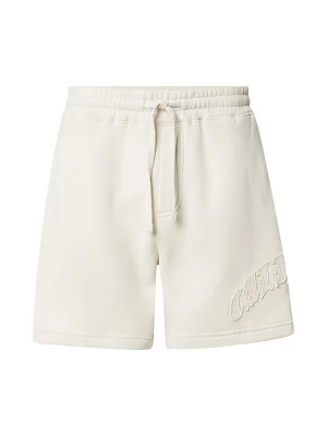 Obrázek produktu HOLLISTER Kalhoty režná