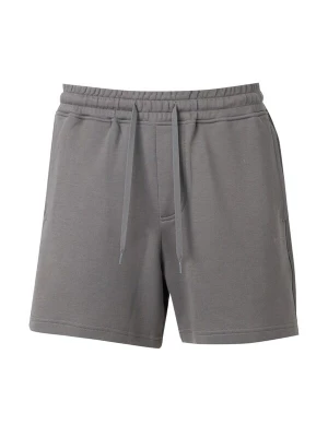 Obrázek produktu HOLLISTER Kalhoty šedá