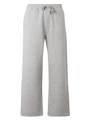 Obrázek produktu HOLLISTER Kalhoty šedá