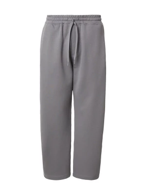 Obrázek produktu HOLLISTER Kalhoty šedá