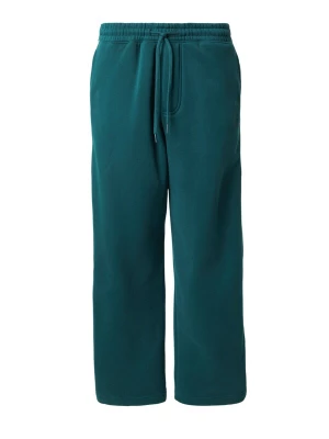 Obrázek produktu HOLLISTER Kalhoty smaragdová / bílá