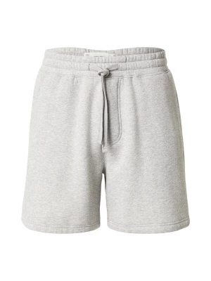 Obrázek produktu HOLLISTER Kalhoty světle šedá