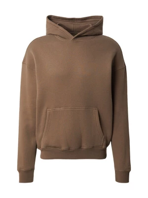 Obrázek produktu HOLLISTER Mikina hnědá