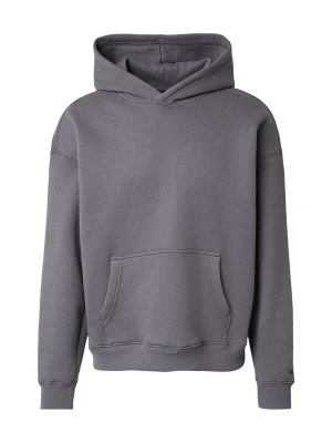 Obrázek produktu HOLLISTER Mikina šedá