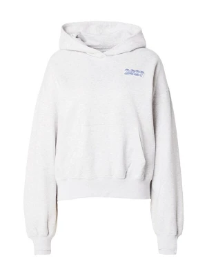 Obrázek produktu HOLLISTER Mikina šedá