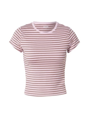 Obrázek produktu HOLLISTER Tričko rezavě hnědá / růžová