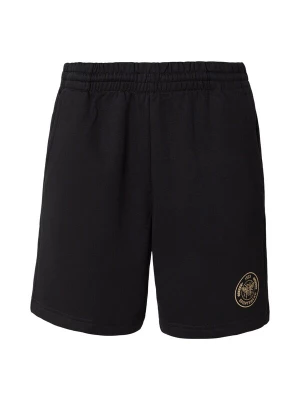 Obrázek produktu Hummel Sportovní kalhoty 'SWARM' režná / černá