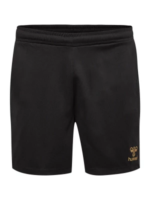 Obrázek produktu Hummel Sportovní kalhoty zlatá / černá