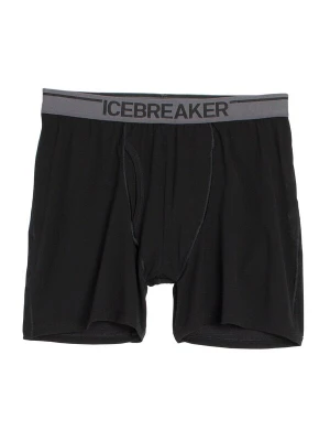 Obrázek produktu ICEBREAKER Boxerky 'M Anatomica Boxers wFly' černá