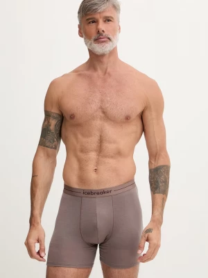 Obrázek produktu Icebreaker funkční boxerky pánské s merino vlnou Anatomica hnědá