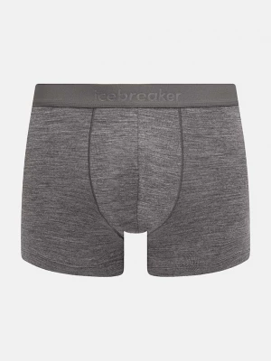 Obrázek produktu Icebreaker Funkční prádlo Merino 125 Cool-Lite Anatomica