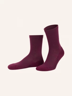 Obrázek produktu Icebreaker Trekkingové Ponožky Lifestyle S Merino Vlnou fuchsiová