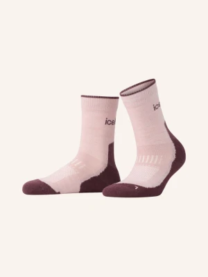 Obrázek produktu Icebreaker Trekové Ponožky Hike + Light Crew S Merino Vlnou růžová / tmavě fialová
