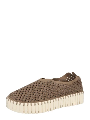 Obrázek produktu ILSE JACOBSEN Slip on boty 'Tulip' hnědá / černá