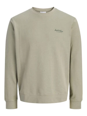 Obrázek produktu Jack & Jones Junior Mikina 'JJEArchive' pastelově zelená