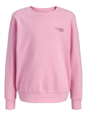Obrázek produktu Jack & Jones Junior Mikina 'Roar' růže / černá