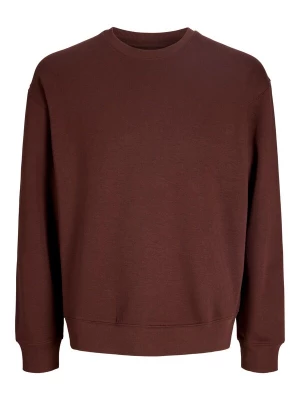 Obrázek produktu JACK & JONES Mikina 'JJEACE' čokoládová