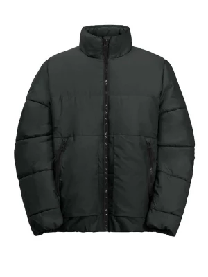 Obrázek produktu Jack Wolfskin Dětská bunda Jack Wolfskin TEEN INS černá