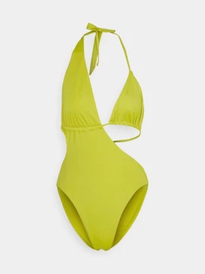 Obrázek produktu Jednodílné plavky We Are We Wear