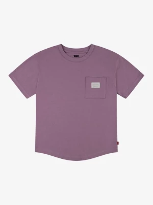Obrázek produktu Jednoduché tričko Levi's fialová