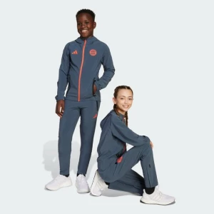 Obrázek produktu Kalhoty FC Bayern Tiro 25 Competition Vis Tech Travel Adidas