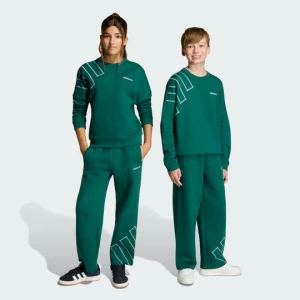 Obrázek produktu KALHOTY LOOSE BLOCKED Adidas Collegiate Green