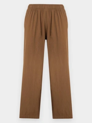 Obrázek produktu Kalhoty Santa Cruz khaki