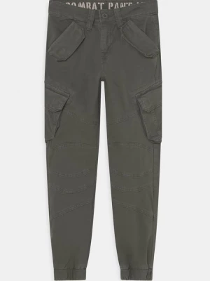 Obrázek produktu Kapsáče Alpha Industries antracitová