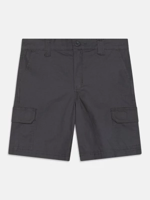 Obrázek produktu Kapsáče Dickies
