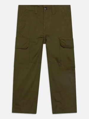 Obrázek produktu Kapsáče Dickies olivová