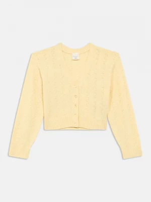 Obrázek produktu Kardigan Abercrombie & Fitch světle žlutá