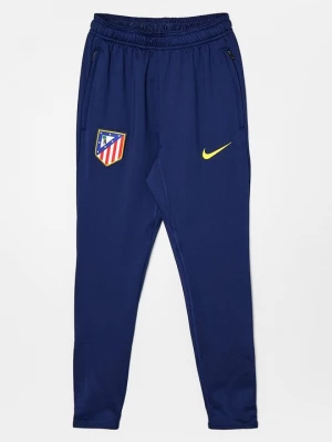 Obrázek produktu Klubové oblečení Nike žlutá