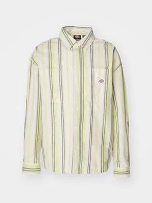 Obrázek produktu Košile Dickies