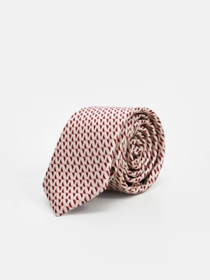 Obrázek produktu Kravata Ted Baker bordeaux